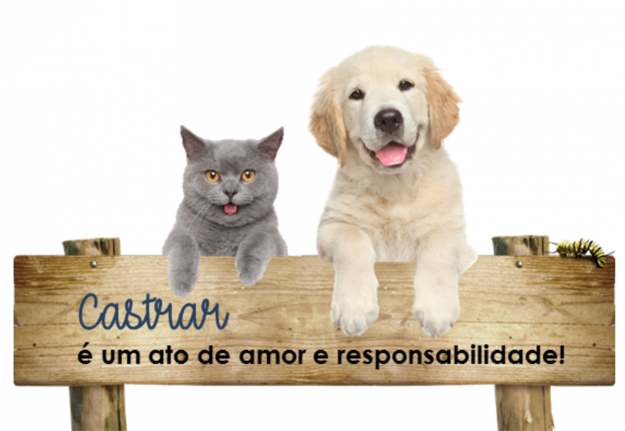 CASTRAÇÃO DE ANIMAIS