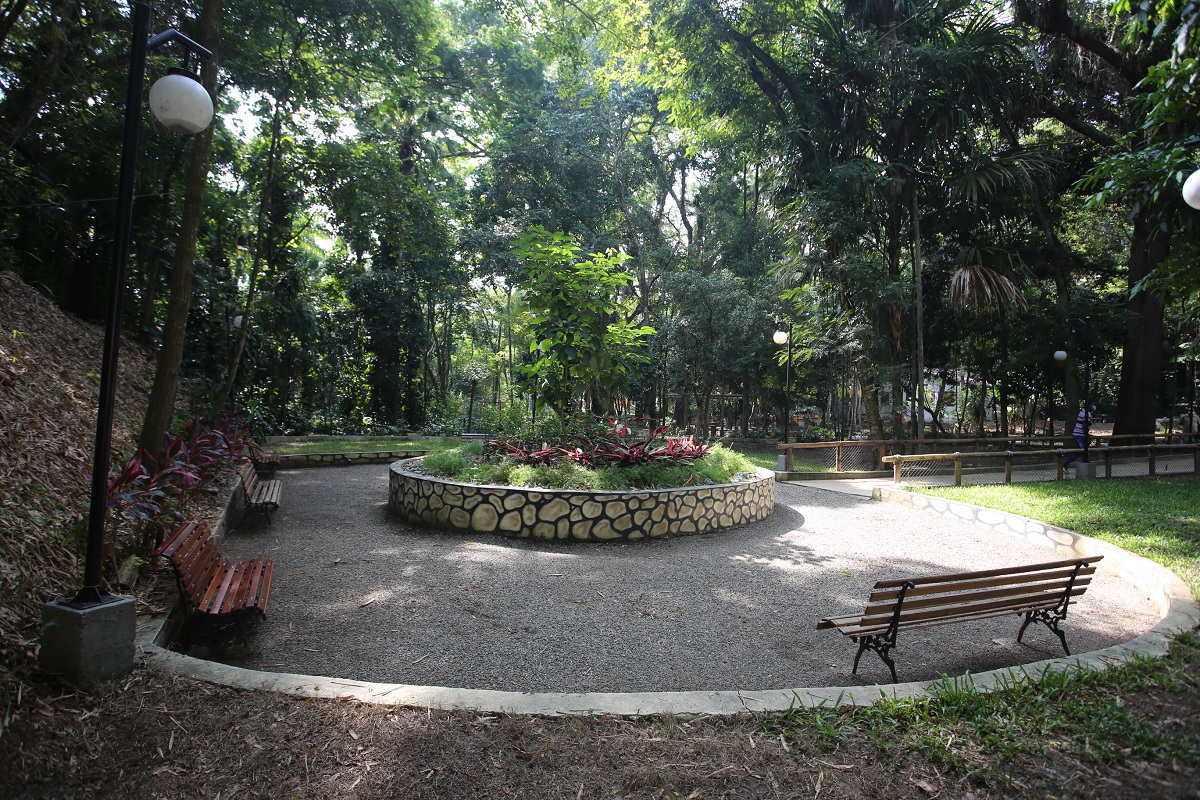 foto horto Niterói