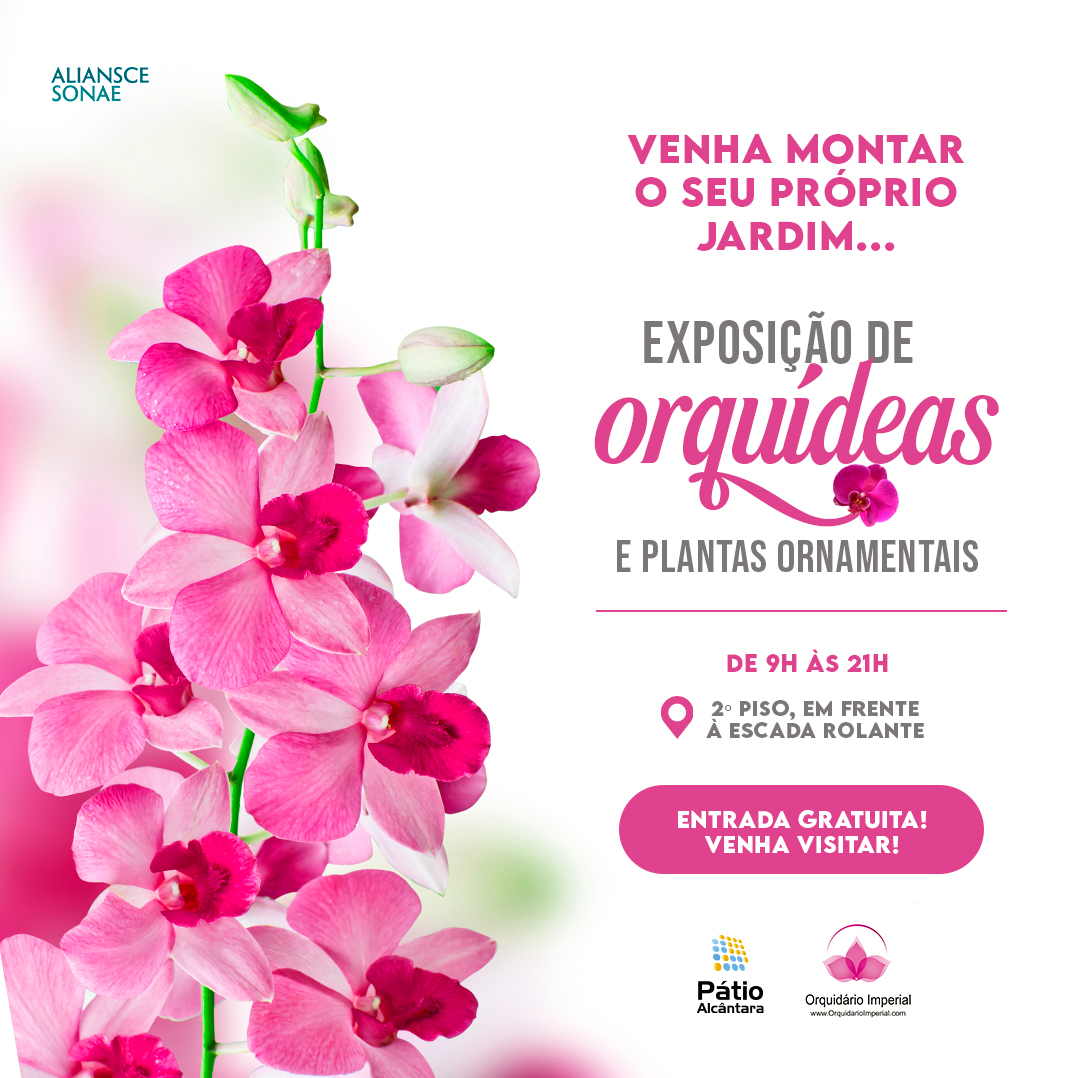 PÁTIO-ALCÂNTARA-EVENTO-EXPOSIÇÃO-DE-ORQUÍDEAS