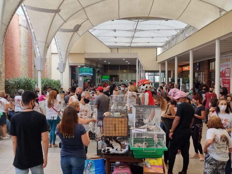 Feira de Adoção Pet