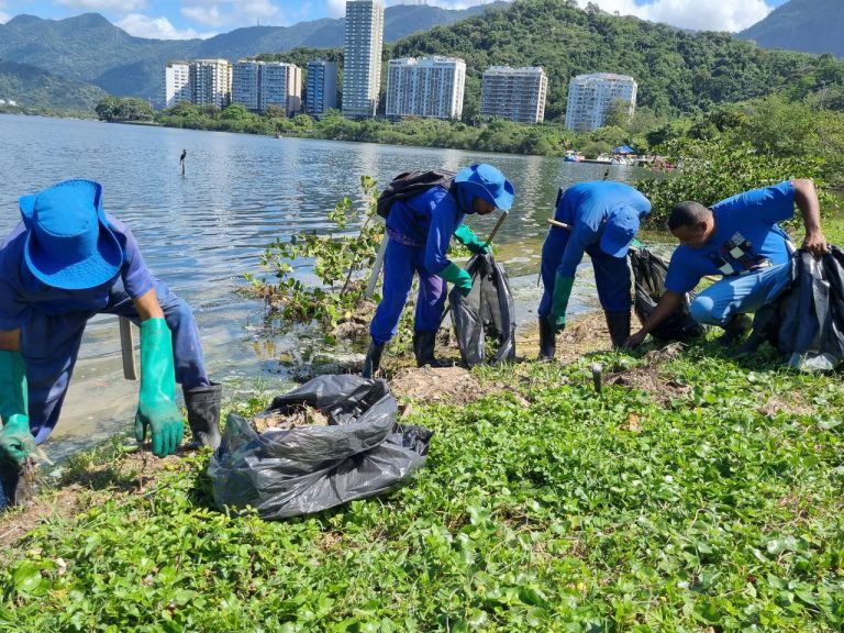 Ação de limpeza na Lagoa