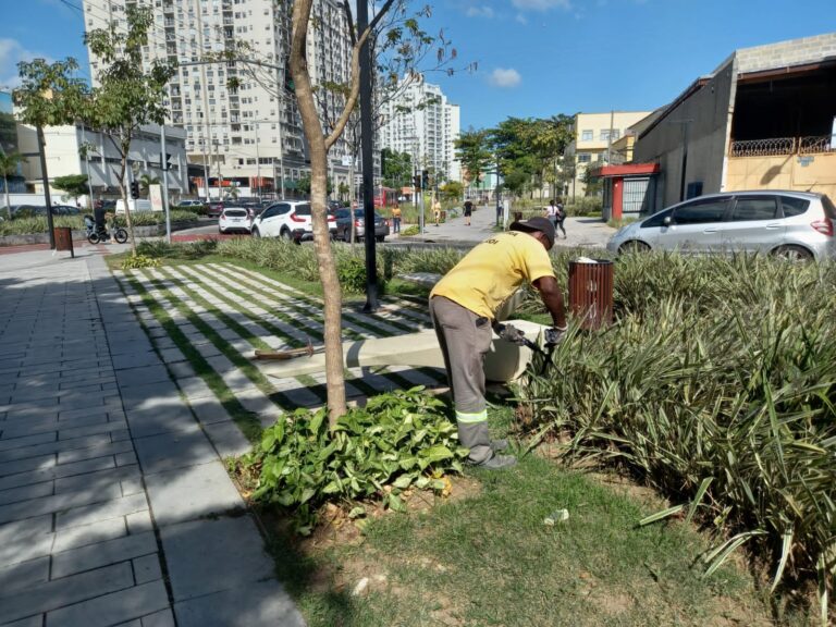 Manutenção de jardins