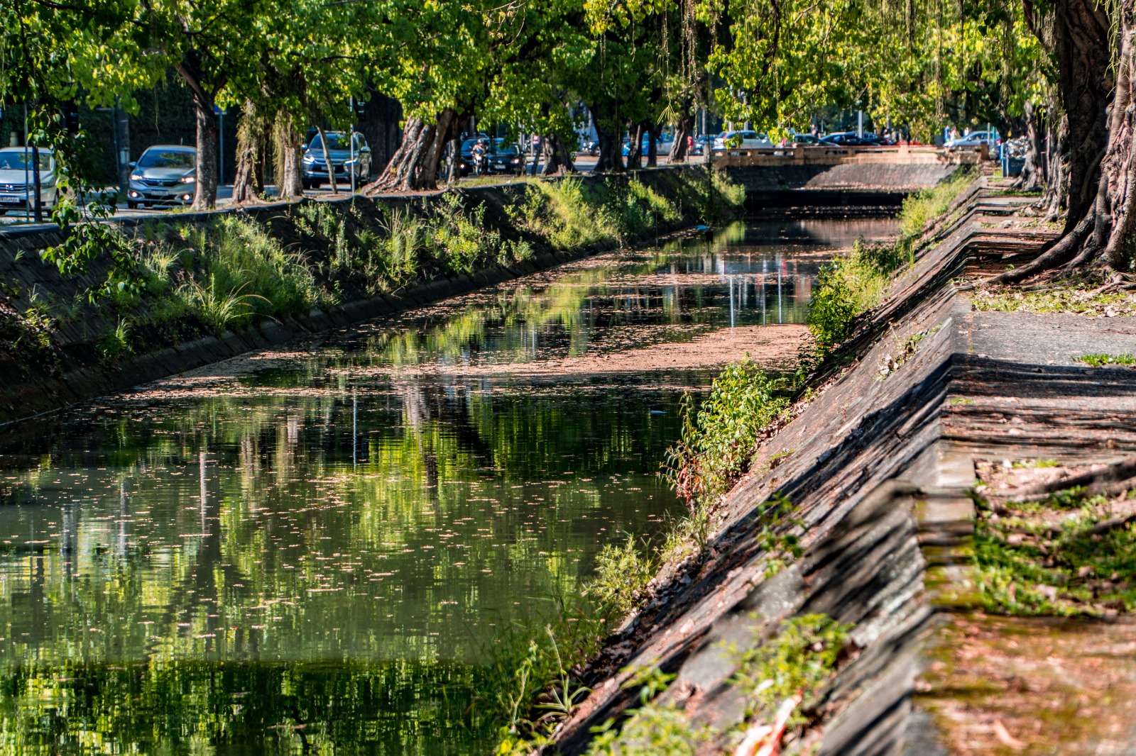 Canal da Visconde de Albuquerque