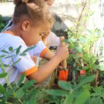 Mês do Meio Ambiente na Educação