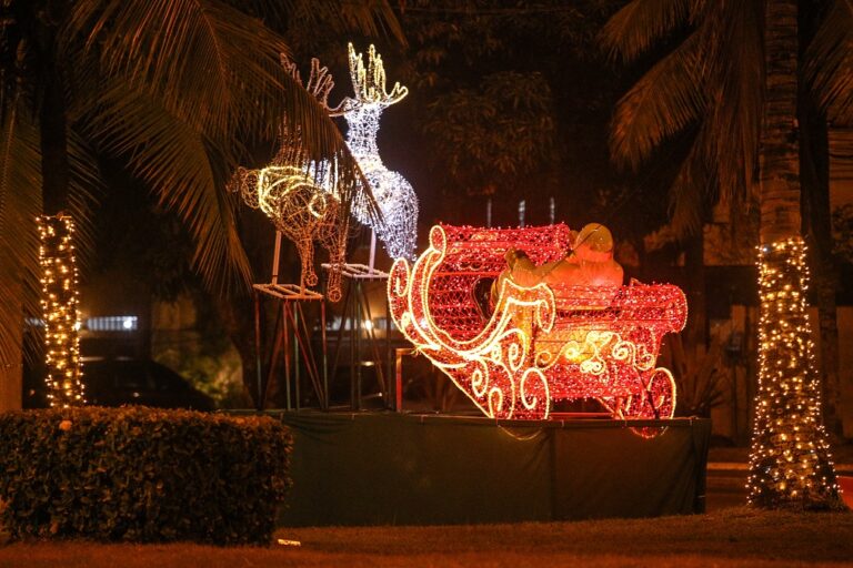 Iluminaçao de Natal 2023 - Sao Francisco-8