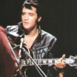 ELVIS