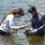 Projeto de Inventário da Biodiversidade Faunística da Enseada de Jurujuba-Duda Menegassi-6