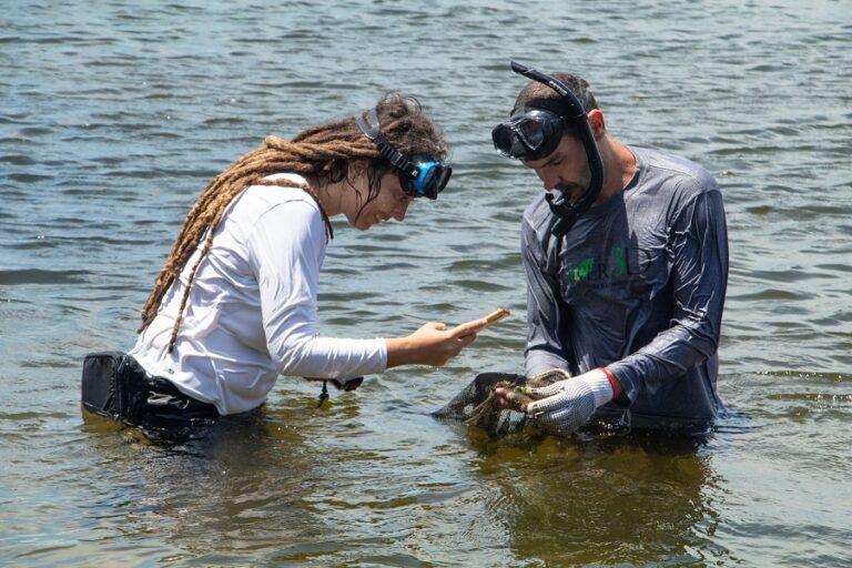 Projeto de Inventário da Biodiversidade Faunística da Enseada de Jurujuba-Duda Menegassi-6