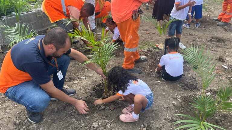 Plantio educação ambiental 3