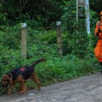 corpo de bombeiros 1