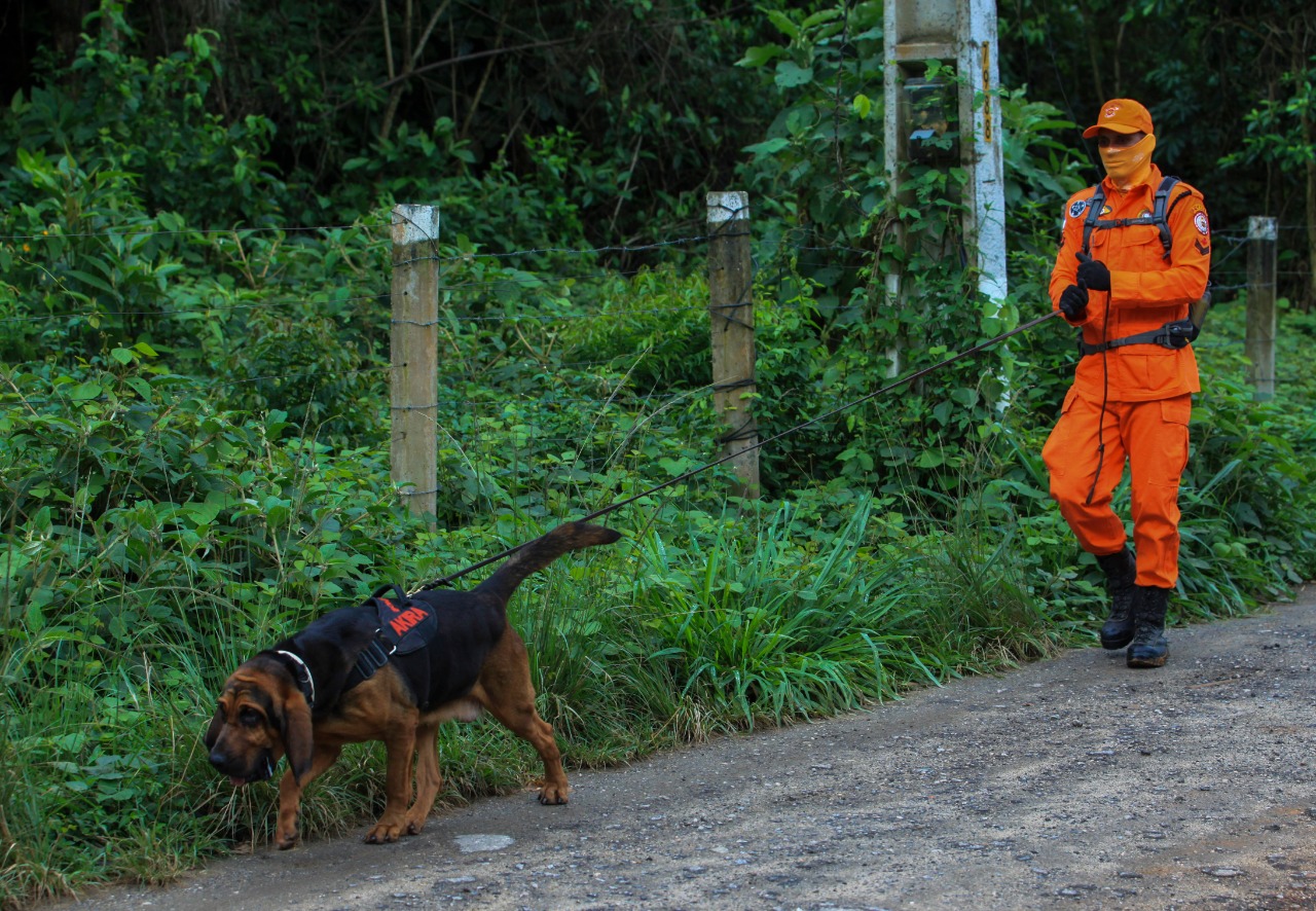 corpo de bombeiros 1