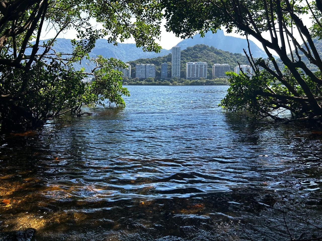 Lagoa Rodrigo de Freitas