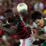 Flamengo e Palmeiras