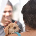 Adoção Cães e Gatos Maricá