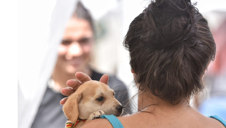 Adoção Cães e Gatos Maricá