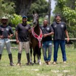 I Leilão Elite no Parque Rural3