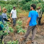 Parque Paleontológico de Itaboraí avança na recuperação ambiental com 65 mil mudas plantadas 2