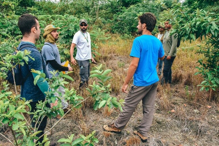 Parque Paleontológico de Itaboraí avança na recuperação ambiental com 65 mil mudas plantadas 2