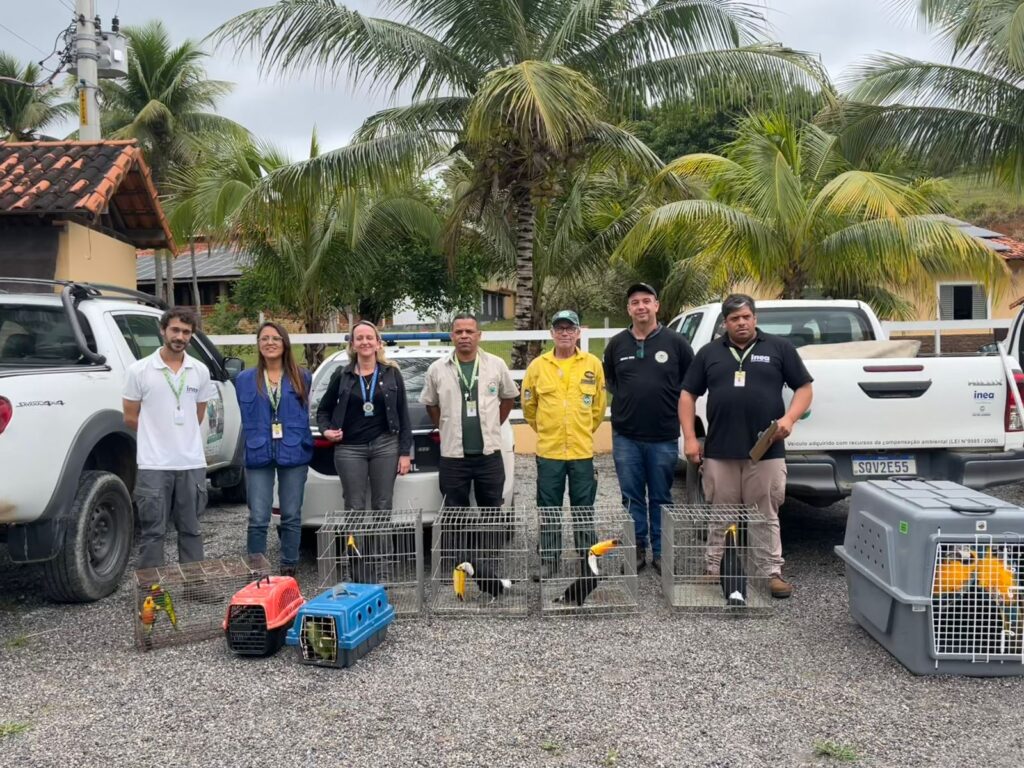 WhatsApp Image 2025-09-25 at 16.25.29