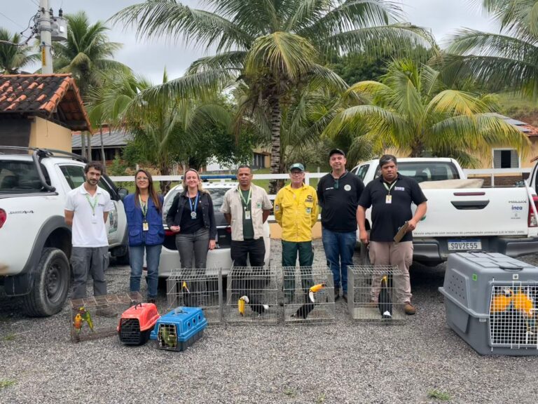 WhatsApp Image 2025-09-25 at 16.25.29