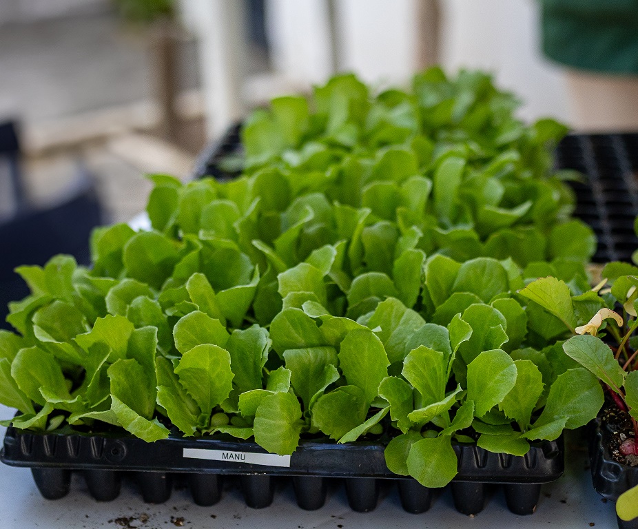 54695256374_695d583c41_o