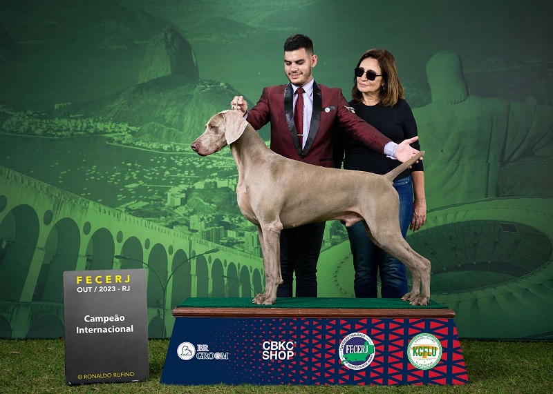 WhatsApp Image 2025-09-25 at 13.12.56 (1)