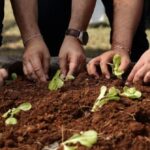 agricultura social (4)