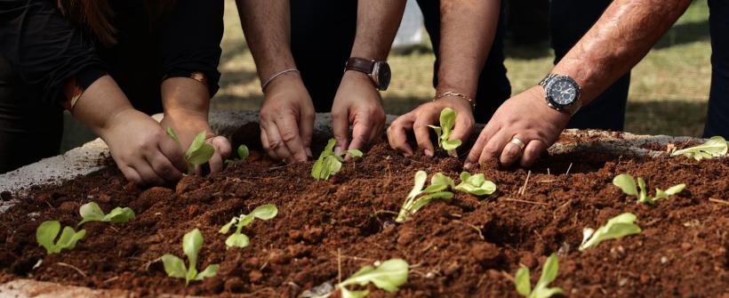 agricultura social (4)