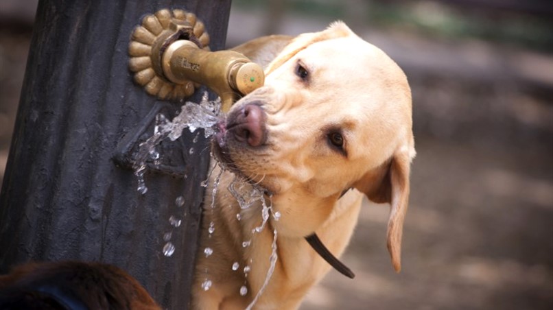 d4d72ded-da4a-0c85-e9d8-94ef27827336