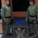 Preguiça é resgatada em Niterói