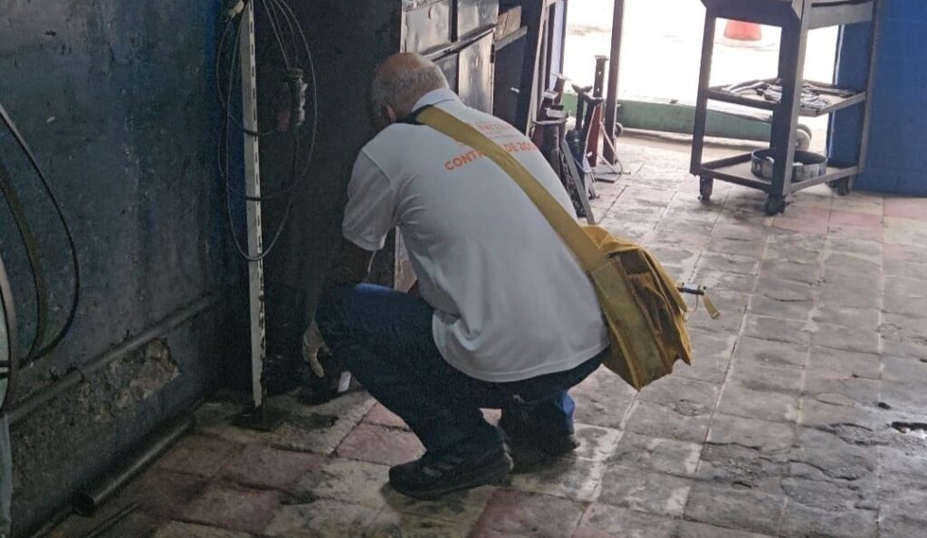 WhatsApp Image 2025-12-19 at 14.15.11 (3)