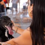 54510501770_51a6bac1b3_o-2048x1476