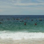 55059512217_7fa30d0264_o-2048x1365 (1)