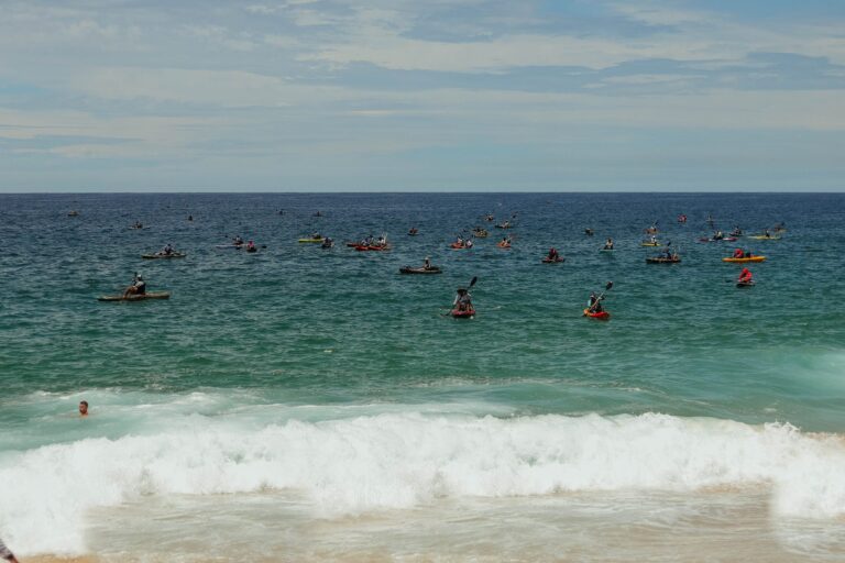 55059512217_7fa30d0264_o-2048x1365 (1)