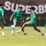 55061123332_2519fff5ec_o-scaled