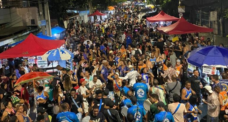 Folia dos Bois 2025 2