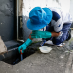 FotoDivulgação Edu Kapps