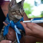 Foto-Gustavo-Arau-#769jo