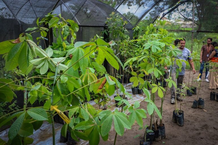 Itaboraí recebe 335 mudas no Horto Municipal como parte de compensação ambiental (2)