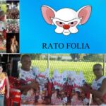 Rato Folia
