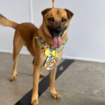 WhatsApp-Image-2026-03-23-at-14.50.20--1-