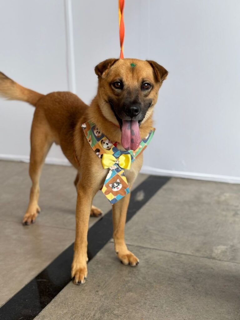 WhatsApp-Image-2026-03-23-at-14.50.20--1-