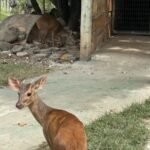 4wUmOkRWNkVmN6InYu02bj5SZz5WZsF2Yu92ZvxWYuJ3bqB0bhNWYkVmc6MTOygTMzYTNyEjOnVGcq5ydvxmYwMGZxgjZjRjNyYTMjRGO2cDMjJDZzETN4YmY1EjMzYkMlEjMzYkMlYDMyMTMGJTJ2IDMx8VL1ETLf9VLwITLfpTN