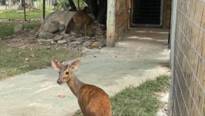 4wUmOkRWNkVmN6InYu02bj5SZz5WZsF2Yu92ZvxWYuJ3bqB0bhNWYkVmc6MTOygTMzYTNyEjOnVGcq5ydvxmYwMGZxgjZjRjNyYTMjRGO2cDMjJDZzETN4YmY1EjMzYkMlEjMzYkMlYDMyMTMGJTJ2IDMx8VL1ETLf9VLwITLfpTN