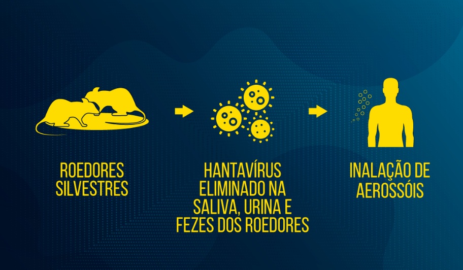 Hantavirus