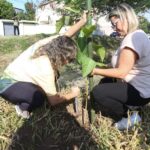Itaboraí lança programa Disque Árvore para ampliar a arborização urbana no município (3)