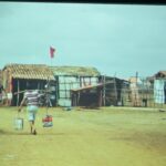 Mostra Fiocruz (3)