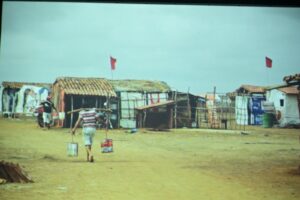 Mostra Fiocruz (3)
