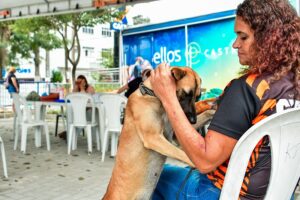 Castração gratuita de cães e gatos é ampliada em Itaboraí devido à grande procura