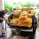 Agricultura Familiar fortalece alimentação escolar com produtos cultivados em Itaboraí (4)